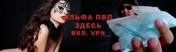 стаф Арсеньев