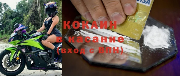 стаф Арсеньев