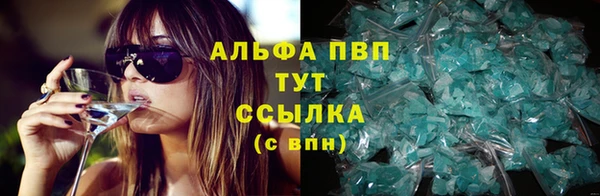 стаф Арсеньев