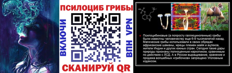 кракен ссылки  Сортавала  Псилоцибиновые грибы мухоморы  купить наркотики цена 